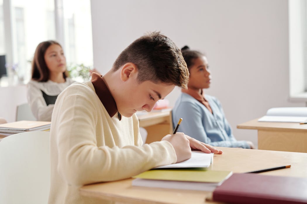 Essay Writing Help banner