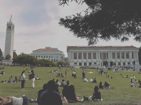 The Rise of Sustainability Movements In Universities